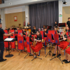 zespół instrumentalny