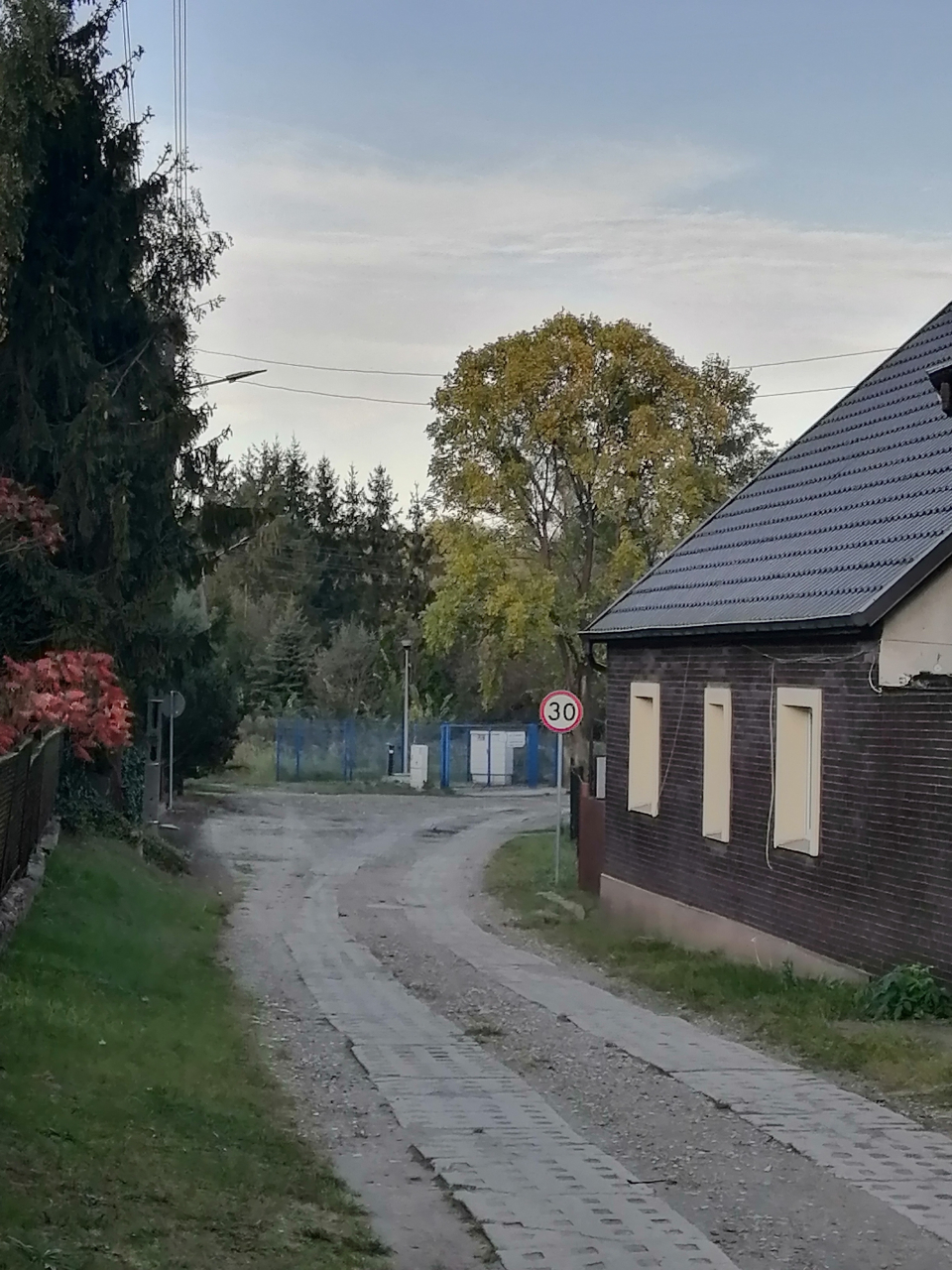 ulica i drzewa wzdłuż ulicy