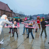 aniamcje na płycie rynku