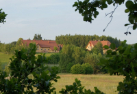 budynek, wokół drzewa