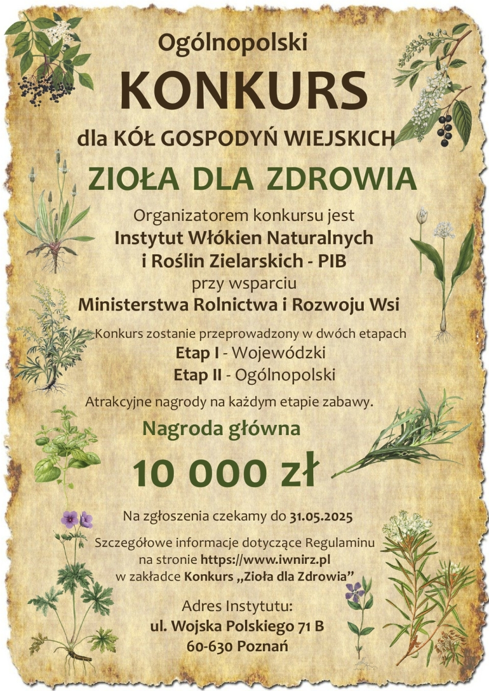 grafika z różnymi obrazkami ziół