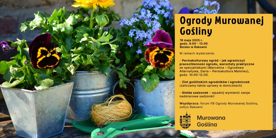 [obraz] grafika roślin w doniczkach