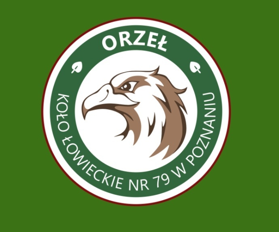 grafika przedstawia animację orła