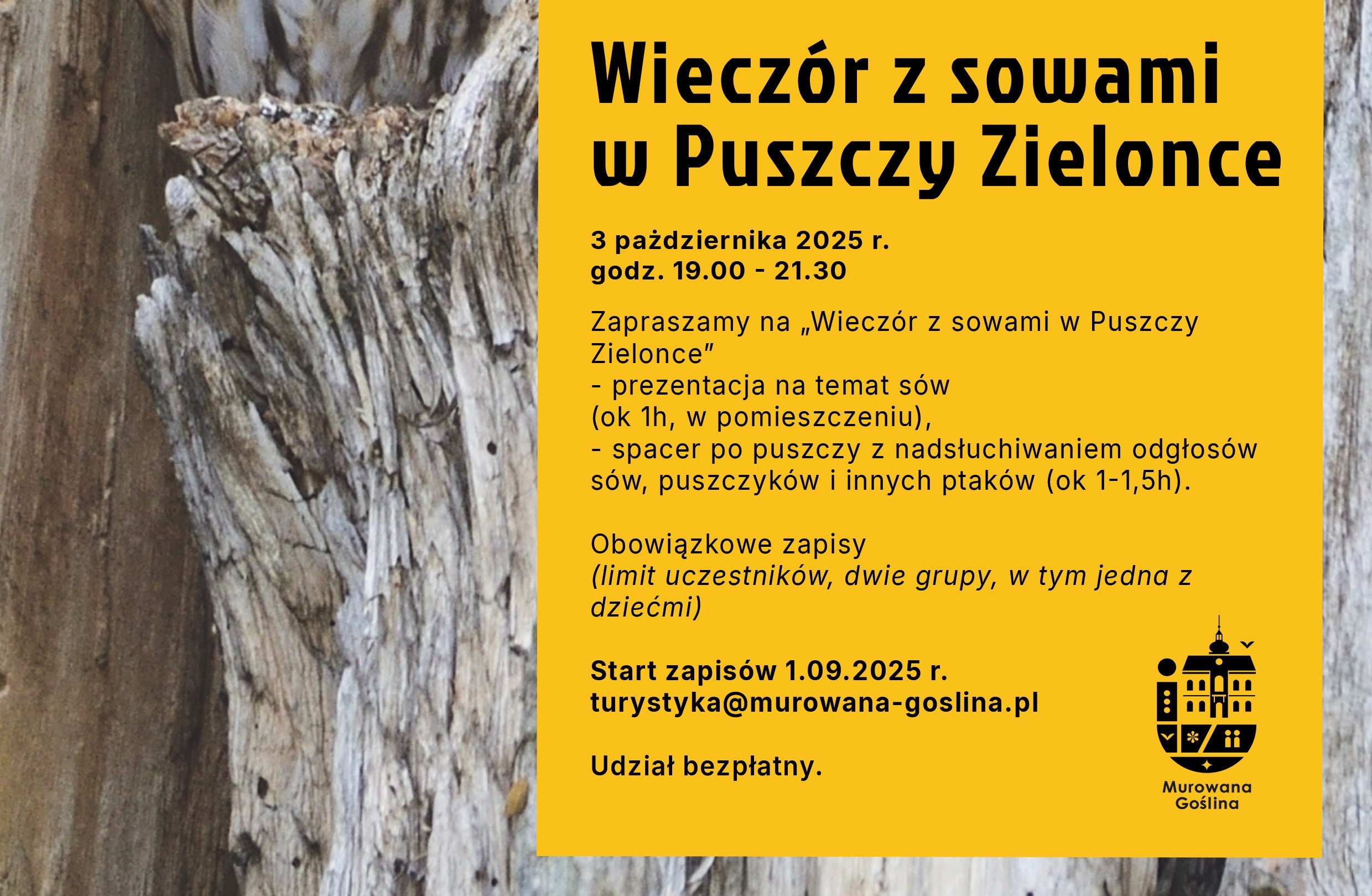 [obraz] grafika przedstawia tekst - opis wydarzenia