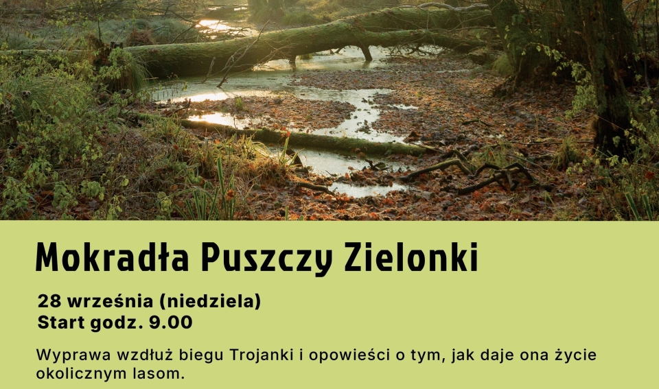 [obraz] kałuża w lesie i napis Mokradła Puszczy Zielonki