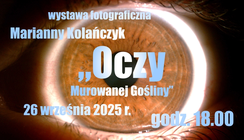 [obraz] zbliżenia na 8 różnych oczu