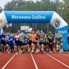 Grupa ludzi, którzy właśnie rozpoczęli bieg