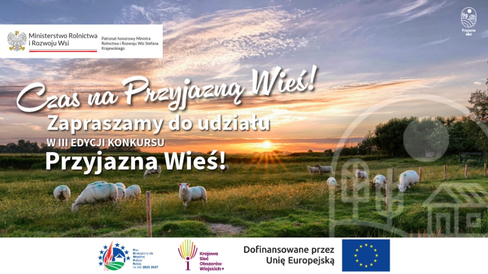 widok zachodzącego słońca na polu, na którym pasą się owce