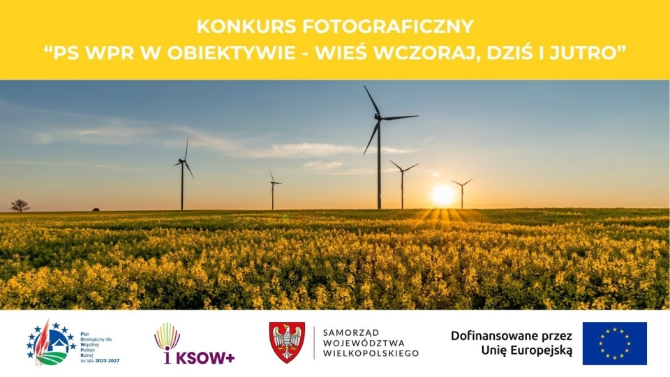 zdjęcie elektrowni wiatrowych w polu rzepaku przy zachodzącym słońcu