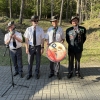 czterech braci kurkowych prezentuje tarczę