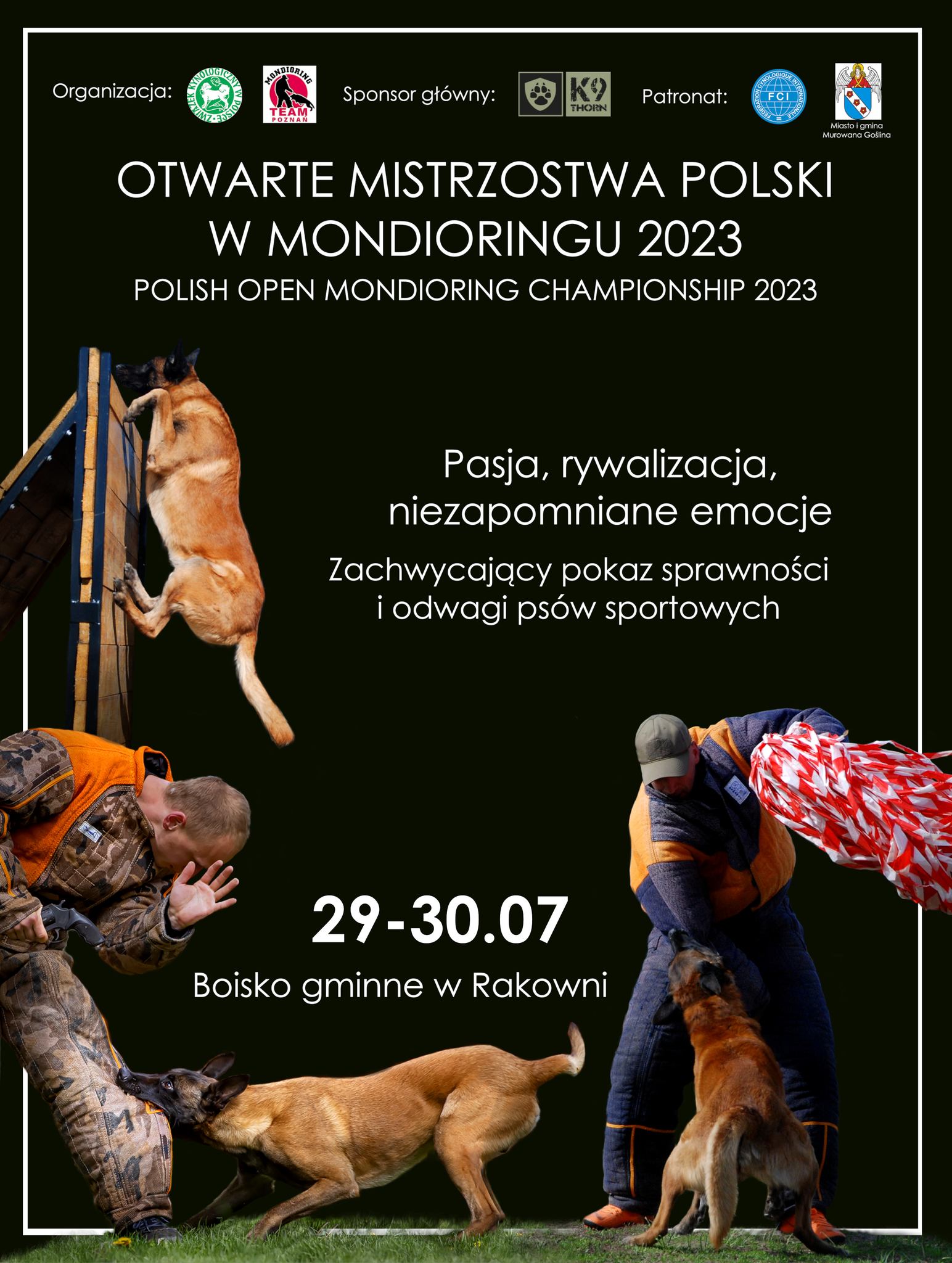 Otwarte Mistrzostwa Polski w Mondioringu, na zdjęciu- pies przeskakuje przez przeszkodę oraz psy pozorujące walkę z człowiekiem