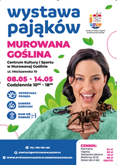 kobieta trzyma na dłoni pająka