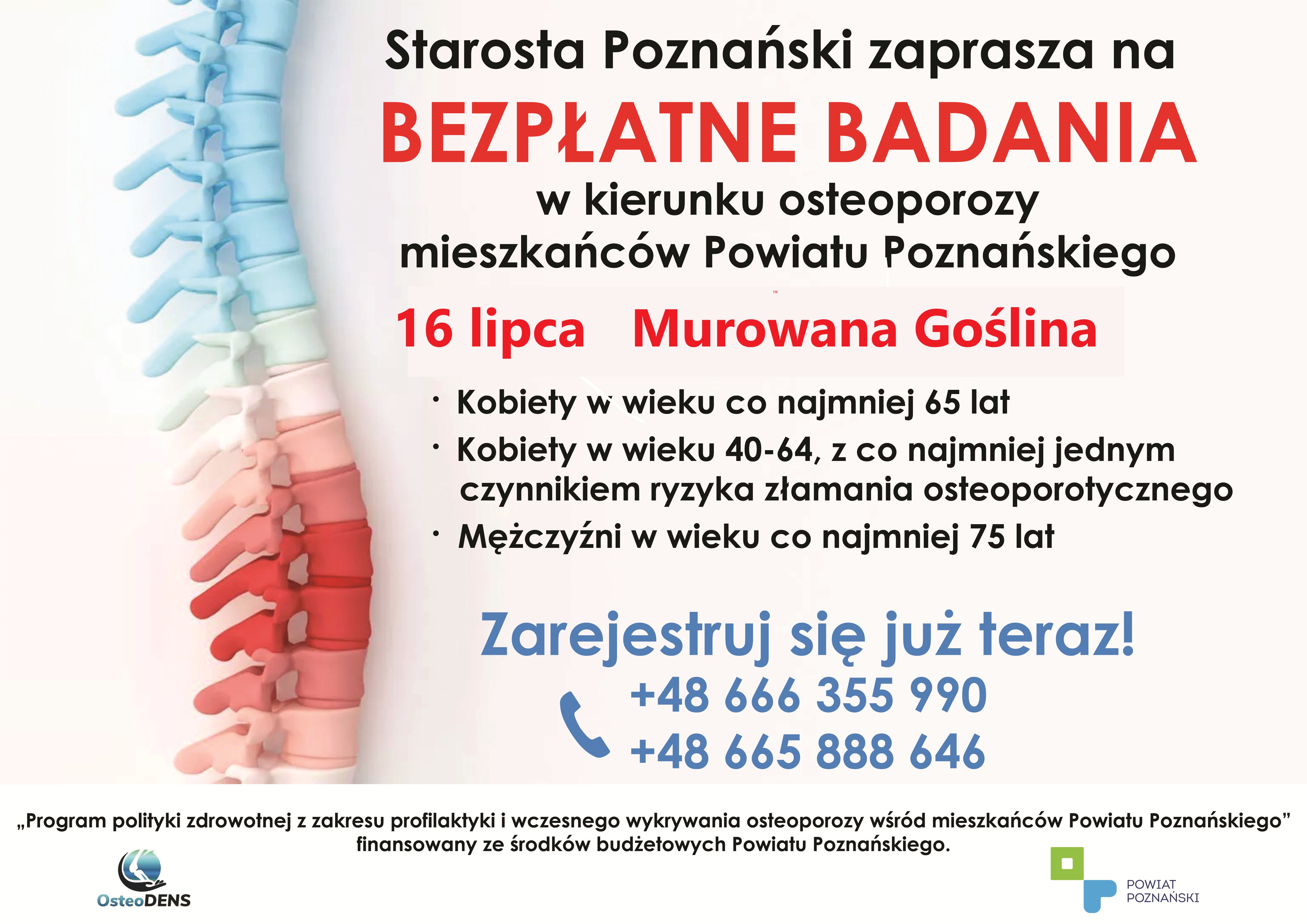 kolorowa grafika kręgosłupa