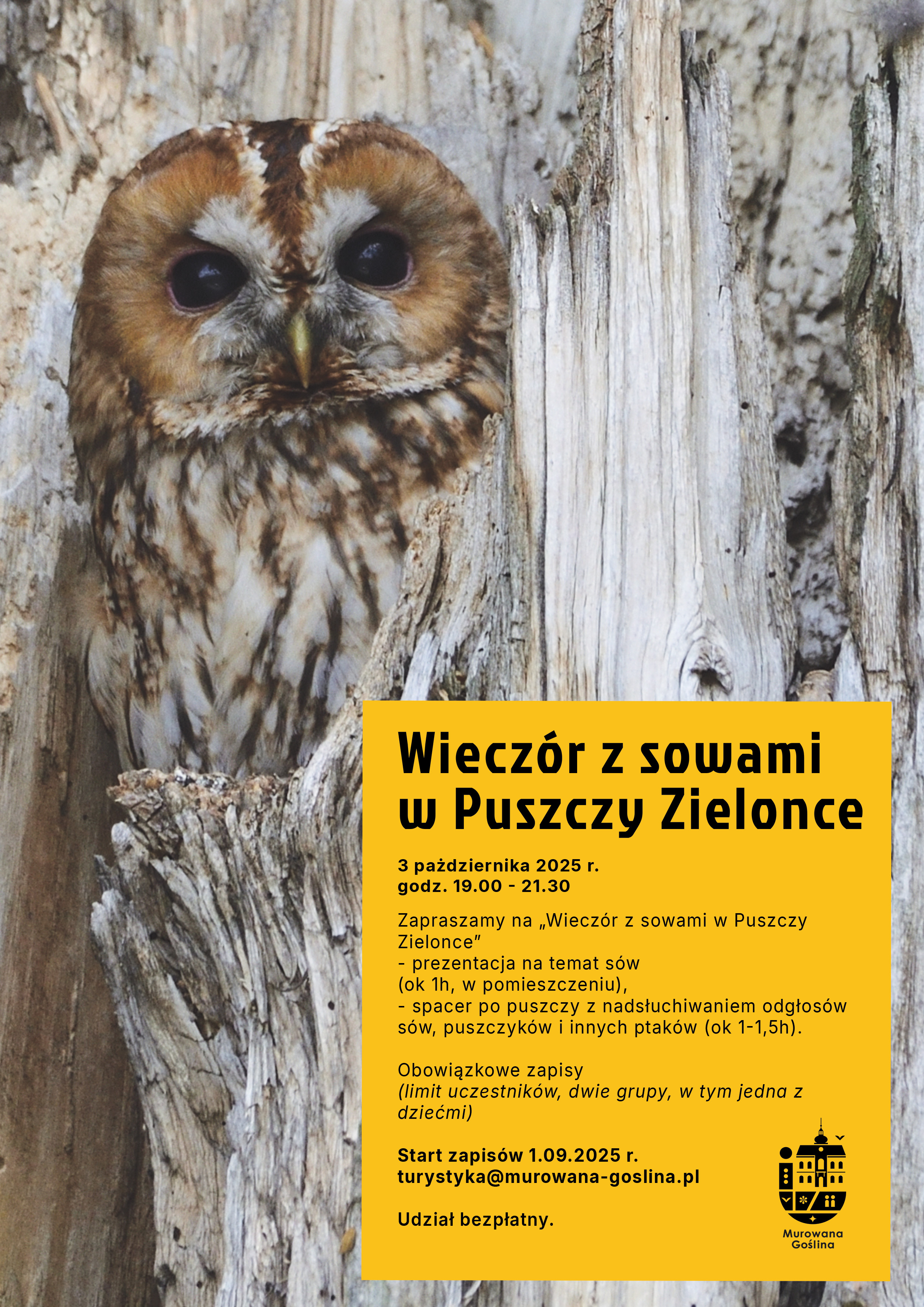 Wieczór z sowami w Puszczy Zielonce