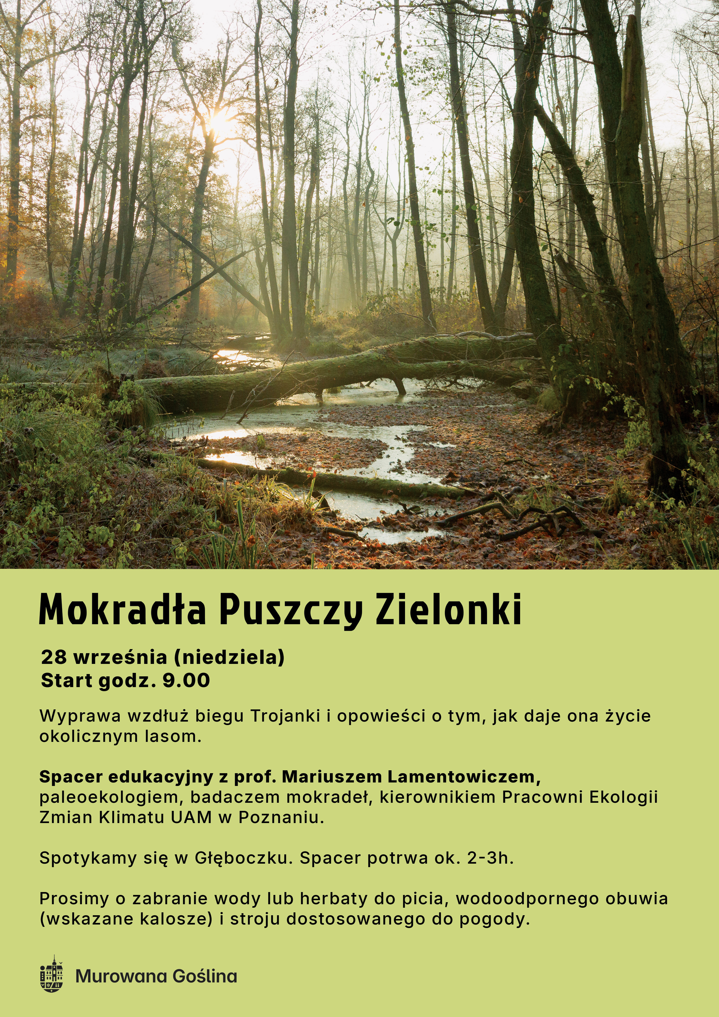Mokradła Puszczy Zielonki