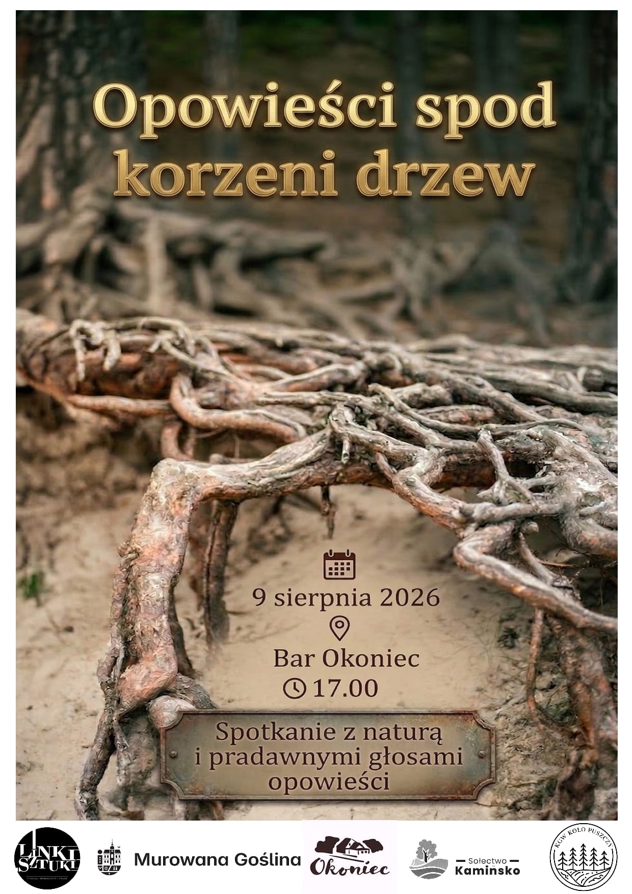 na zdjęciu korzenie drzewa