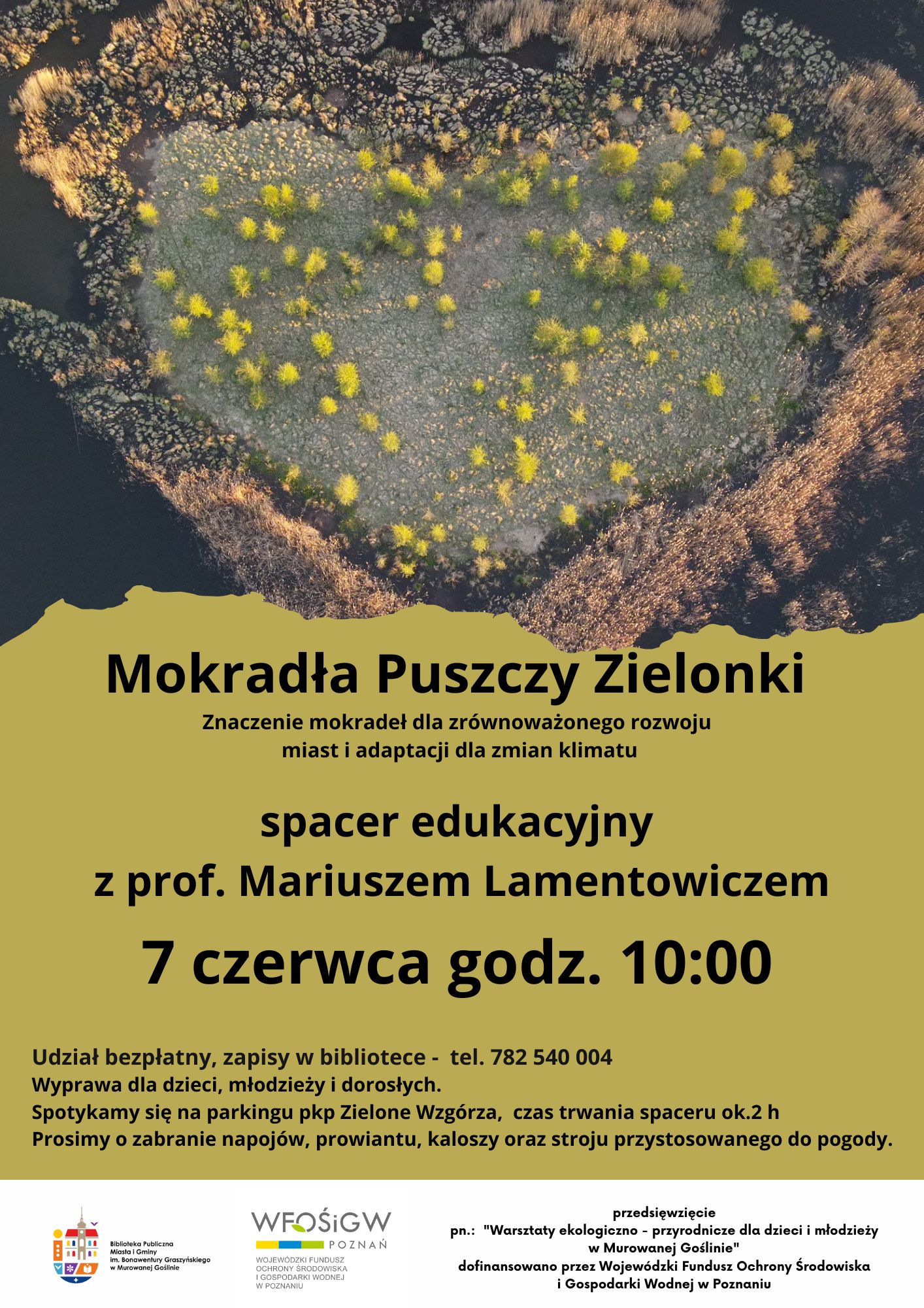 zdjęcie mokradeł z lotu ptaka