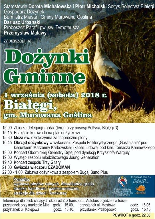 Dożynki Gminne