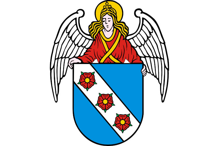 Wybory uzupełniające do Rady Miejskiej w Murowanej Goślinie