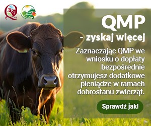 [obraz] na plakacie widoczna krowa