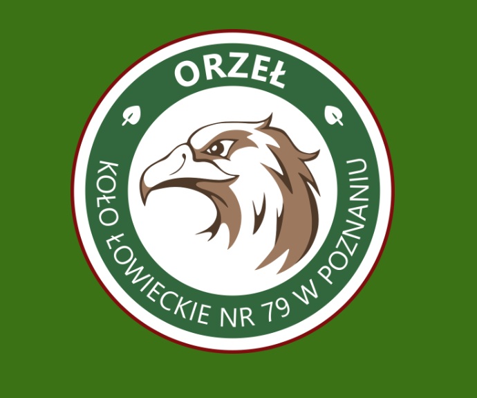 [obraz] grafika przedstawia animowanego orła