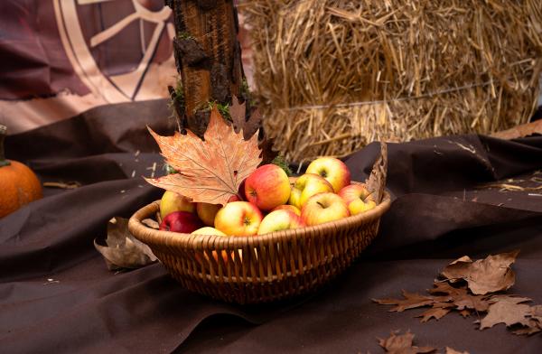 [obraz] VI Gminny Konkurs Młodych Recytatorów  „Jesień”