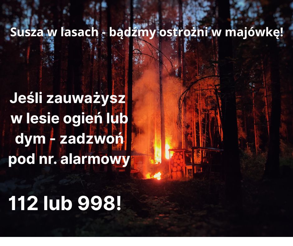 [obraz] Susza w lasach – majówka 2026 pod znakiem wysokiego ryzyka pożarowego- komunikat Nadleśnictwa Łopuchówko